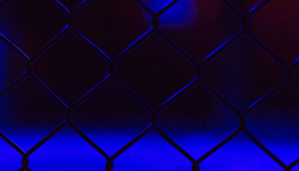 Conor McGregor's Stout Becomes Official BKFC Beverage